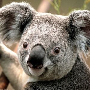 Meet your Posher, Karina